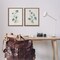 Stupell Industries Blue Botanical Herbs 2pc Floating Frame Set Design by Susan Jill